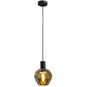 Masterlight Zwarte pendel hanglamp Bounty met rond glas