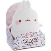 Nici Molang In Cadeaudoos Teddy 24 Cm