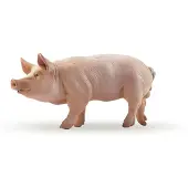 Papo Figurine Verrat - - Model van een tamme mannelijke varken - Jongens en Meisjes - Geel en wit