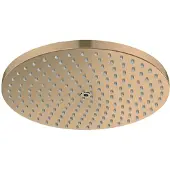 Hansgrohe 27623140 Douchekop Raindance S 240, 1 straal