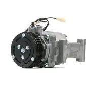 RIDEX 447K0535 Aircopomp