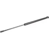 ACKOJA A70-0193 Gasveer achterklep