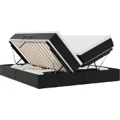 vidaXL Opbergbed met matras met opslag Zwart 200 x 200 cm Kunstleer
