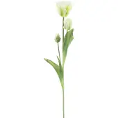 Erutan avon PSO Parrot tulip spray Sally cream 71 cm kunstbloem