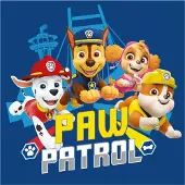 Paw Patrol Team handdoek, gezichtshanddoek, handdoek 30x30cm