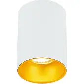 EDO Opbouwspot GU10 rond incl. fitting (Wit/Goud, 11cm hoog)