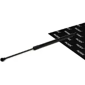 RIDEX 219G1188 Gasveer achterklep
