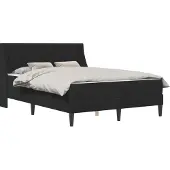vidaXL Bedframe met matras met matras Zwart 120 x 200 cm Fluweel