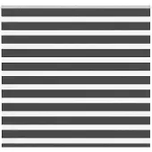 vidaXL Zebra rolgordijn 165x150 cm stofbreedte 160,9 cm zwart