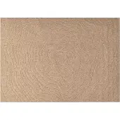 vidaXL Binnen- en buitenkleed AGIRA Naturel 280 x 200 cm Polyester
