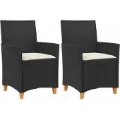 vidaXL Tuinstoelen 2 st met kussens poly rattan en massief hout zwart