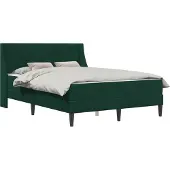 vidaXL Bedframe met matras met matras Donkergroen 160 x 200 cm Fluweel