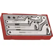 Teng Tools TTHP08 Haak-/pinsleutelset in tray