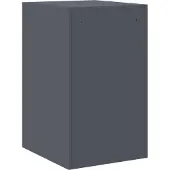 vidaXL Bestandkast Antraciet 44 x 50 x 74,5 cm Koudgewalst Staal