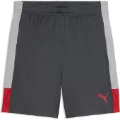 Puma Individualliga Shorts Zwart M Man
