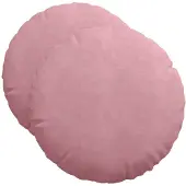 vidaXL Zitkussens 2 st Fluweel Roze Ø50 x 19 cm