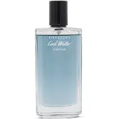Davidoff Cool Water Parfum Voor Mannen 100ml EDP Spray