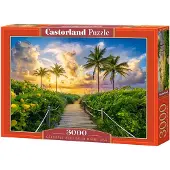 Castorland Colorful Sunrise in Miami Puzzel (3000 stukjes)