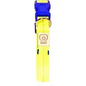 Duvo+ Halsband Nylon Flash Leucht USB