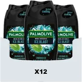 Palmolive 12x Men Douchegel 5in1 Ice Blast 250 Ml