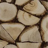 Rasch 130359 Wood Vliesbehang – Openhaardhout Houtlook – Bruin Naturel – 10m x 53cm