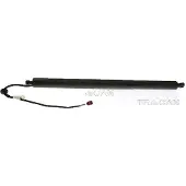 TRISCAN 8710 43302 Gasveer achterklep