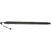 TRISCAN 8710 29313 Gasveer achterklep