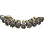 SACHS Schroevenset vliegwiel 1874 000 051