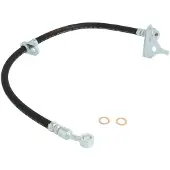 Delphi Remslang LH7281