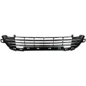 BLIC 6502-07-5508911Q Ventilatiegrille, bumper