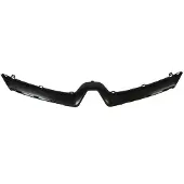 BLIC Sierlijst/beschermstrip, radiatorrooster 6502-07-6034991P