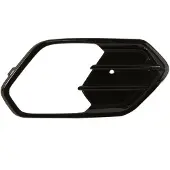 BLIC 6502-07-2579998PP Ventilatiegrille, bumper