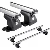 Amos Dakdrager voor Renault Grand Scenic MPV 5D bouwjaar 2003-2008