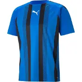 Puma Voetbalshirt teamLIGA Striped - Blauw/Zwart Kids