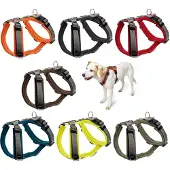 Hunter Servies Maldon (Hond, Algemeen)