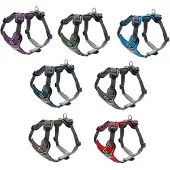 Hunter Divo servies (XS, Hond)