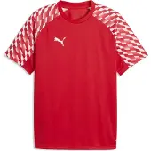 Puma Functioneel shirt 'TeamLiga26' rood / vuurrood / wit