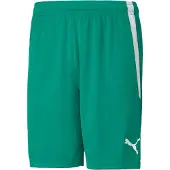 Puma Teamliga shorts voor heren - groen
