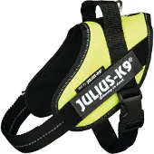 JULIUS K-9 IDC Powertuig - Hondentuig - S - Mini - Neon