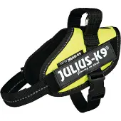 Julius-K9 IDC Powertuig - Hondentuig - XS - Mini-Mini - Neon