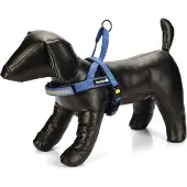 Beeztees Hondentuig Parinca Premium Comfort Blauw 32-42 X 2 Cm