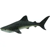 Collecta Haai
