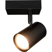 LEDVION LED Plafondspot Zwart 1-lichts Dimbaar GU10 zonder lichtbron