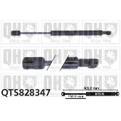 Quinton Hazell QTS828347 Gasveer achterklep