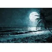 Architects Paper Fotobehang BeachAtNight3 DD117615 Atelier 47 | Fotobehang
