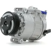 RIDEX 447K0420 Aircopomp
