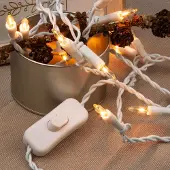 Hellum Mini-lichtketting wit snoer m schakelaar 20-lichts