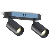 Calex Plafondlamp - 2-Lichts - Opbouwspot - Ovaal - Zwart - Goud