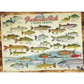 Cobble Hill Cobblehill 80094 1000 st Zoetwatervissen van N. Amerika Puzzel Diverse