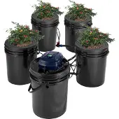 Vevor RDWC Hydroponic Growing System